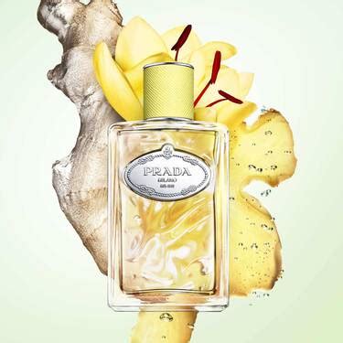 Infusion Gingembre Eau de Parfum 